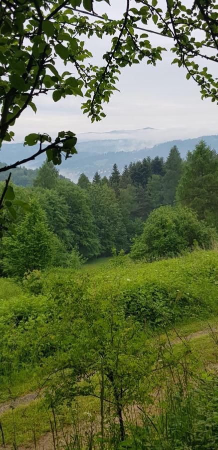 Domek Na Folwarku Z Jacuzzi Tarnawa Dolna  Экстерьер фото